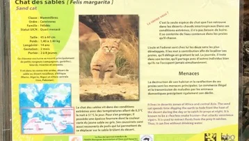 Posjet parku u Lyonu