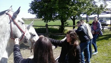 Đakovo - projektni susret