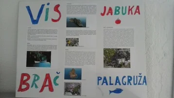 Flora i fauna Jadrana