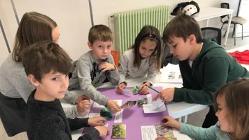 Flora i fauna Jadrana - drugi dio