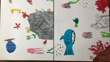 Lyon - flora i fauna jadrana